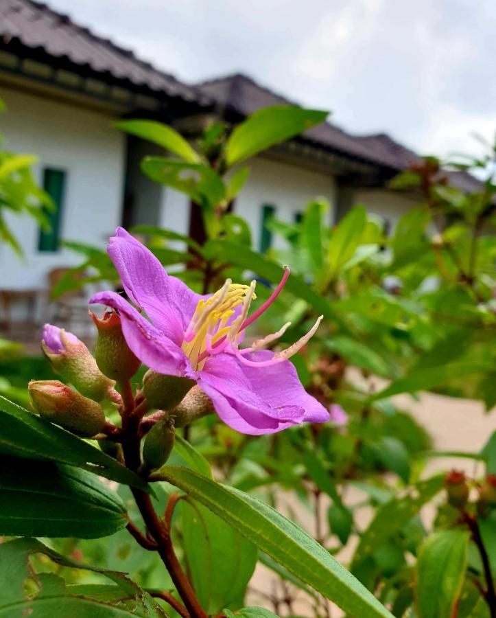 Lakshmi Bungalow Sihanoukville Exterior foto